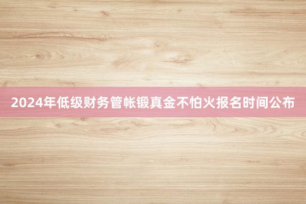 2024年低级财务管帐锻真金不怕火报名时间公布