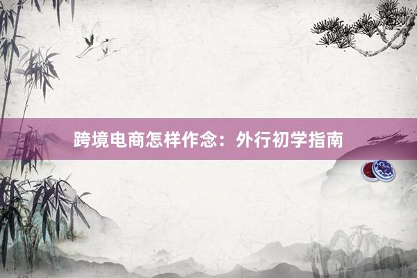 跨境电商怎样作念：外行初学指南