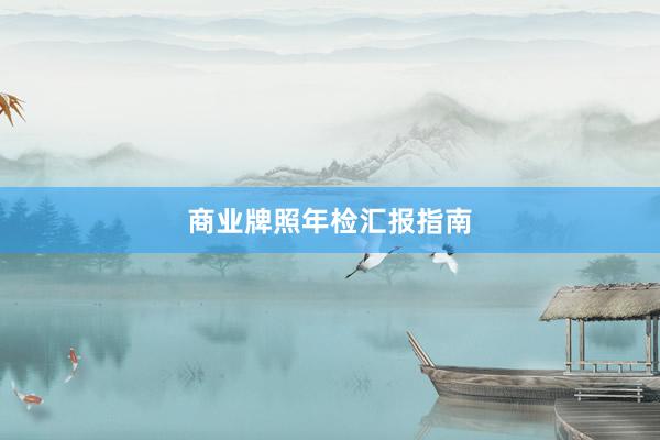 商业牌照年检汇报指南