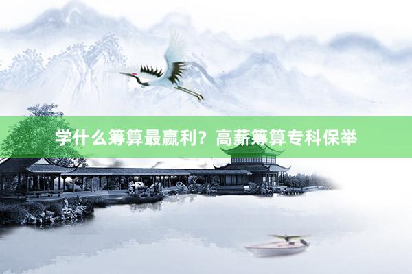 学什么筹算最赢利？高薪筹算专科保举